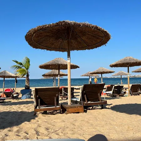 Gradina Garden B33 *